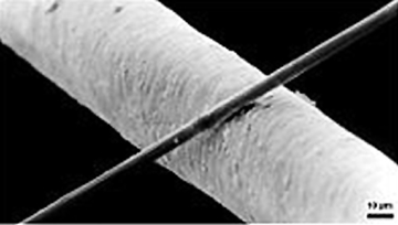 A single carbon filament laid across a human hair