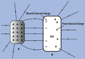 Dennis Wise/ University of WashingtonDennis Wise/ University of Washington