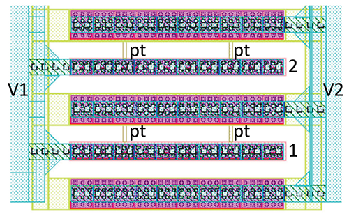 human-body-with-internal-organs