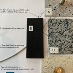 Photo by Retlif Testing Laboratories 