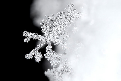 Snowflake by AMagill snowflake photo