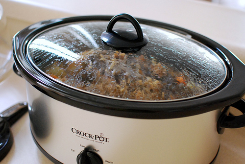 crock pot photo