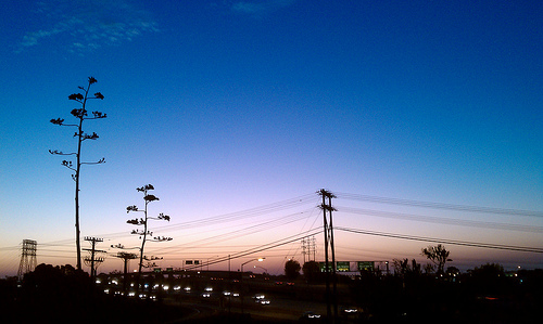 electrical utility photo