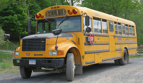 George M. Carroll #107 by ThoseGuys119 school bus blue bird photo