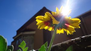 Photo: Nikki Montgomery/U.S. Army