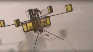 7134852089_994c56229f_nepal