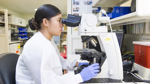 Figure 3: An insulated conductor A with a charge q, placed over a ground.