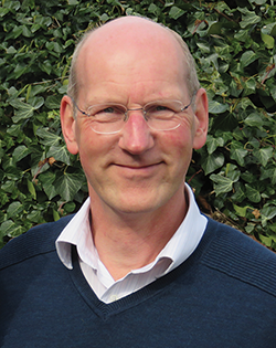 Bike Rentals: A Plethora of Choices