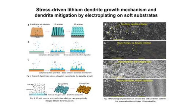 Photo: Arizona State University