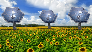 Solar Sunflowers